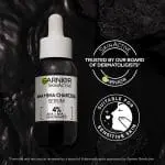 Garnier Charcoal Twin