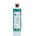 Jani Hand Wash Mint To Be Jani Hand Wash Mint To Be