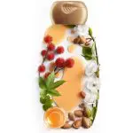 GARNIER ULTRA DOUX ALMOND CASTOR OIL SHAMPOO 4OOML