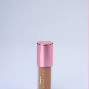 CANVAS MULTITASKER CONCEALER 06