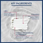 Eucerin Urea Repair Plus 10% Urea Body Lotion, 250ml
