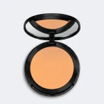 CANVAS MULTITASKER PRESSED POWDER 02